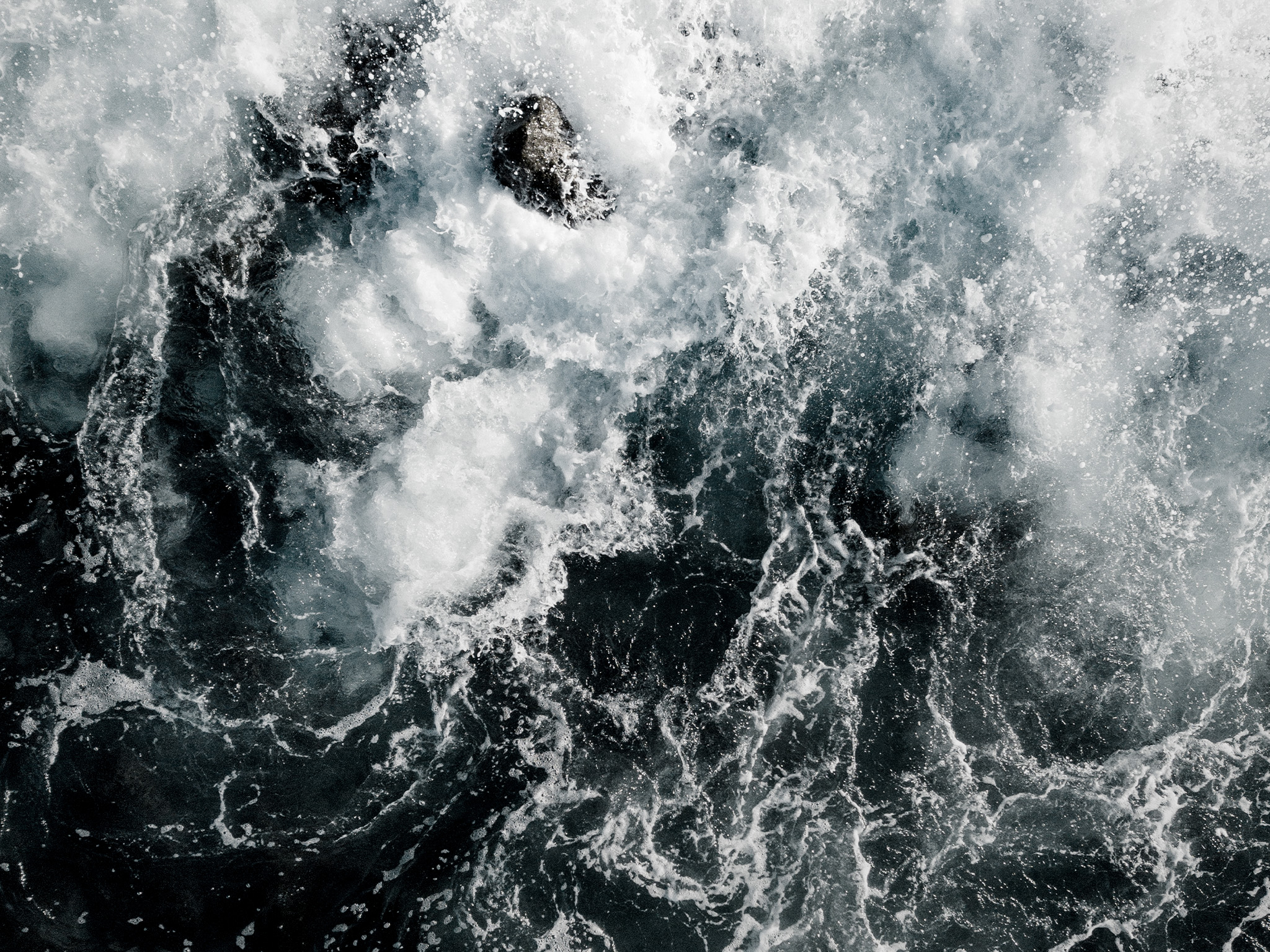 Taste the Wild cover image